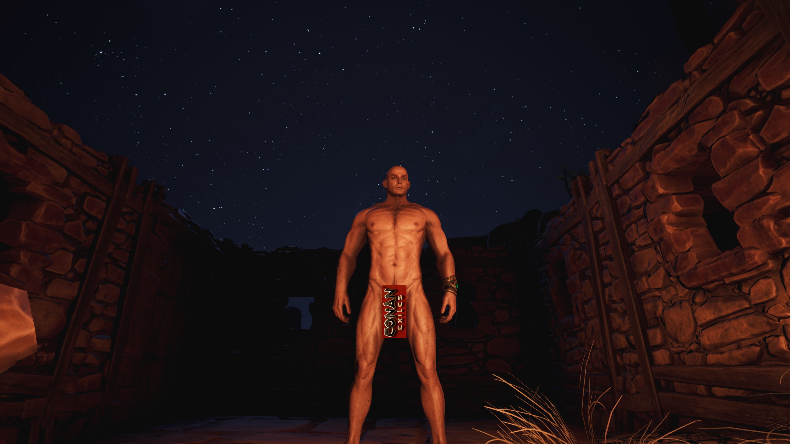 you can download Review Conan Exiles The Best Survival Game In Life Inn,Con...